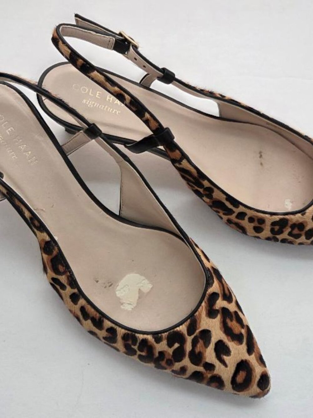 Cole Haan Leopard Print Haircalf Kitten Heel Pumps Pointed Toe Size 6B Slingback